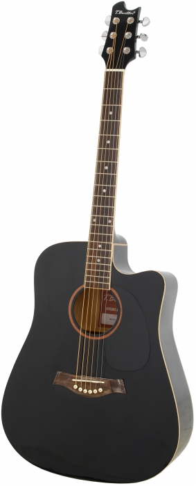 T.Burton Maiden HG WCBK electric/acoustic guitar