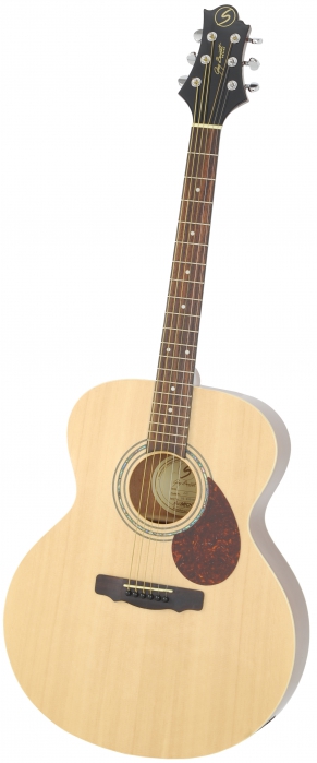 Samick J2N acoustic guitar