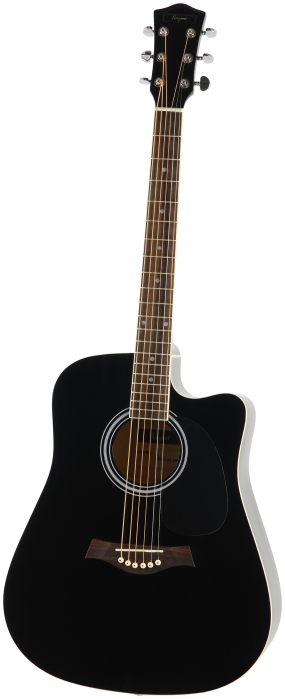T.Burton Ragent W C BK acoustic guitar