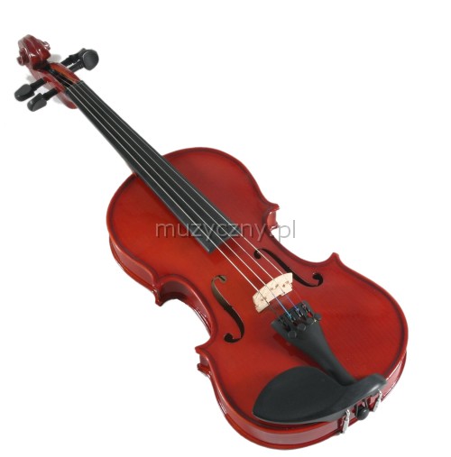 AN school violin 1/2 with case