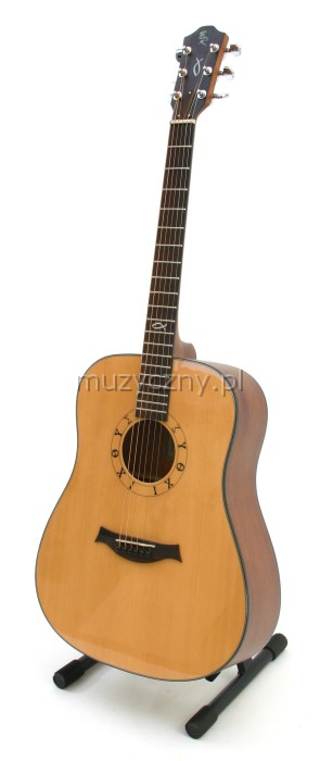Baton Rouge R30 Fisch acoustic guitar