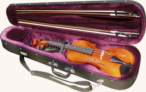 ADA FRV 4/4 violin case