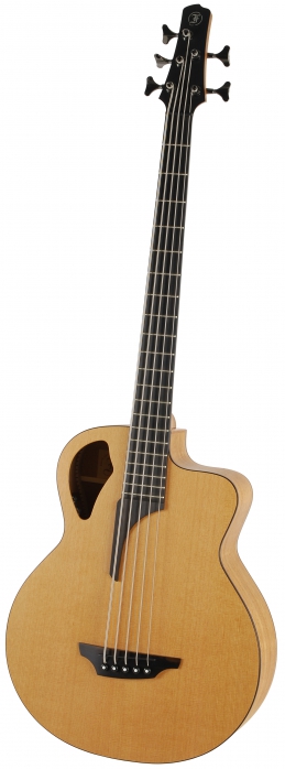 Furch B61-5 CM 5-string acoustic bass guitar