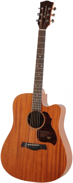 Richwood D-50-CE electro acoustic guitar