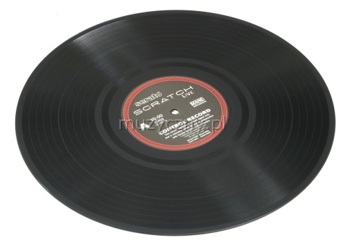 Rane Serato Scratch Vinyl 10 min.