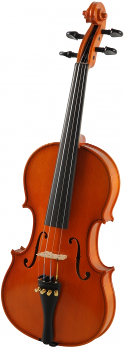 Strunal 022 violin 3/4