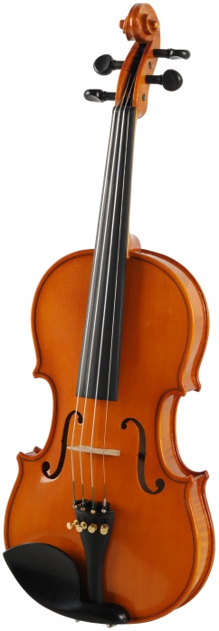 Strunal 1750 concert violin 1/2