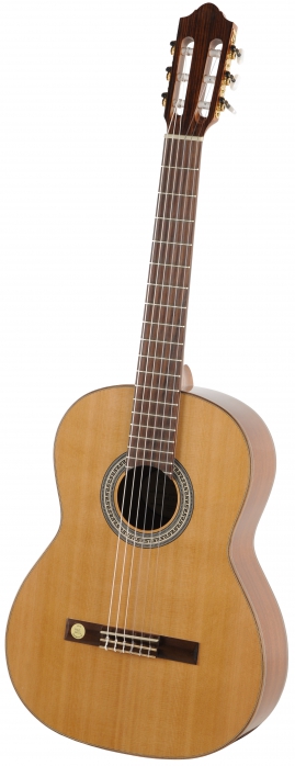 Gewa Pro Arte GC230 4/4 classical guitar, cedar