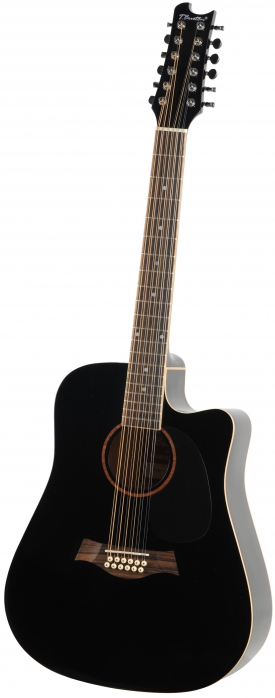 T.Burton Maiden HG WCBK 12-string acoustic guitar