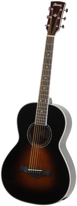 Ibanez AVN1-BS acoustic guitar