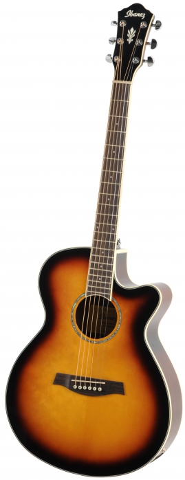 Ibanez AEG 10 II VS electro acoustic guitar