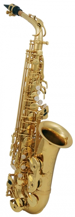 RoyBenson AS-202 Es alto saxophone with case