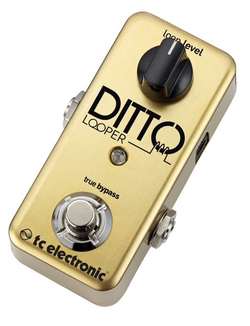 TC electronic TC Ditto Looper Gold guitar effect