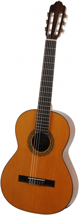 Esteve 3ST53 classical guitar