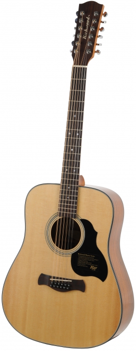 Richwood D-4012 acoustic guitar