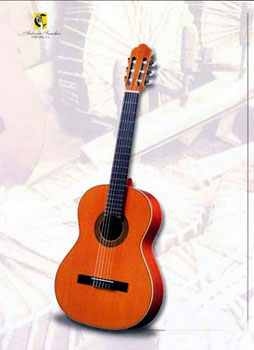 Sanchez S-1005 classical guitar