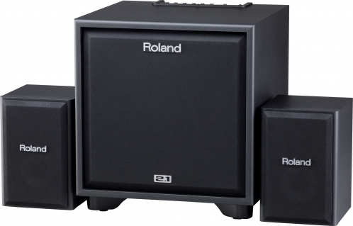 Roland CM 220 PA system