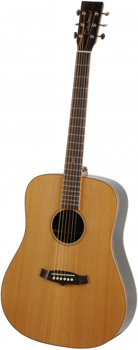 Tanglewood TWJD acoustic guitar
