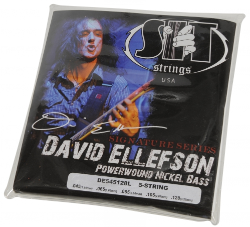 SIT DE 545128L David Ellefson bass guitar string