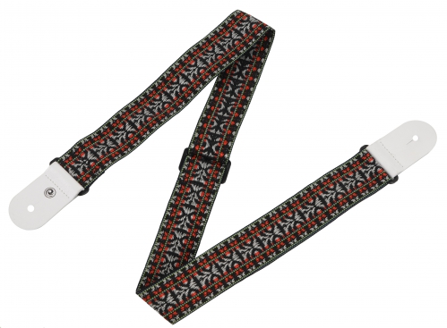 Planet Waves 50G01 Hootenanny Style 2