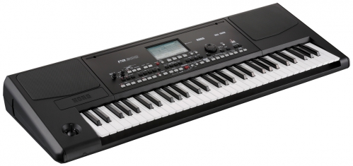 Korg Pa300 Professional Keyboard