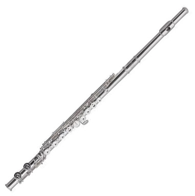 Roy Benson FL-602E flute with case