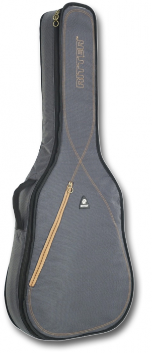 Ritter RGS3-D Steel Grey Moon acoustic guitar cover