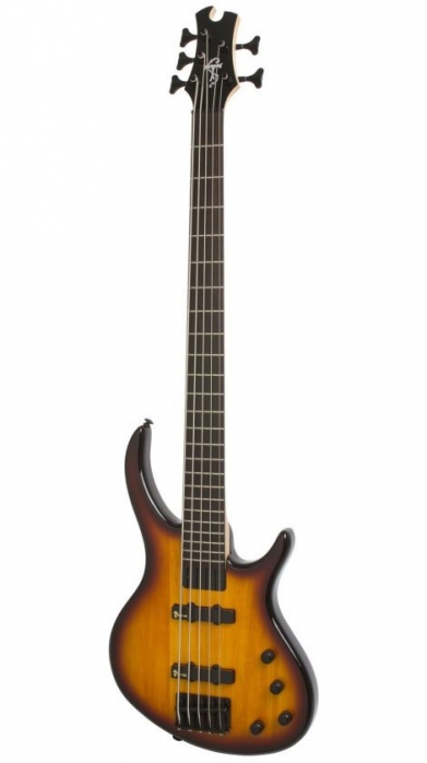 Epiphone Toby Deluxe V VS 5 strings bass guitar