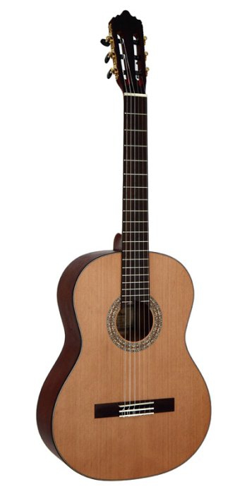 dowina classical guitar