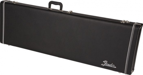 Fender Pro Series P/J  bass guitar case