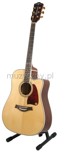 Richwood RD22 CE acoustic guitar with EQ W./Dread.
