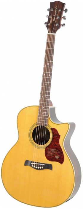 Richwood G-65 CE VA electric acoustic guitar