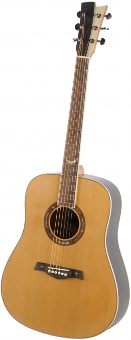 Gilmour Robust acoustic guitar