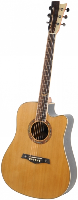 Gilmour Robust EQ CUT electric acoustic guitar