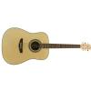 J&D MAG-3NL acoustic guitar