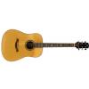 Baton Rouge 30 Starr acoustic guitar