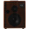 Acus One 6 Wood 100W acoustic guitar amplifier