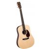 Martin DX1RAE Acoustic-Electric Guitar