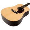 Martin DX1RAE Acoustic-Electric Guitar