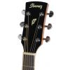 Ibanez PF 17 ECE LG electric acoustic guitar