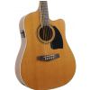 Ibanez PF 17 ECE LG electric acoustic guitar