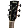 Ibanez PF 17 LG acoustic guitar