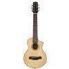 Ibanez EWP15 LTD OPN Piccolo acoustic guitar