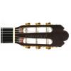 Sanchez S-1024 classical guitar