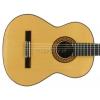 Aragon 49 Acoustic Guitar