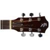 Baton Rouge 12 RD EQ acoustic-electric guitar