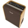 Fender Acoustic SFX 200W guitar amplifier