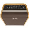 Fender Acoustic SFX 200W guitar amplifier