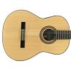 Baton Rouge LM9-EQ classical electric guitar