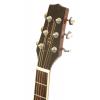 Peavey Briarwood DR-1 acoustic guitar